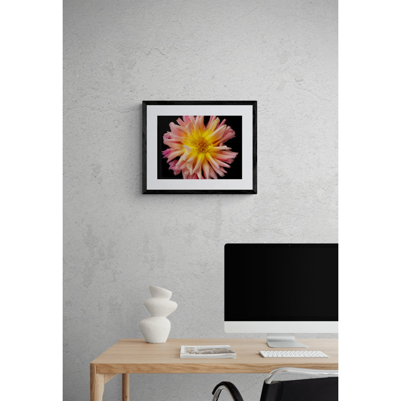 Dahlia Print by Harold Davis, Black Framed Canvas, 24" H x 32" W