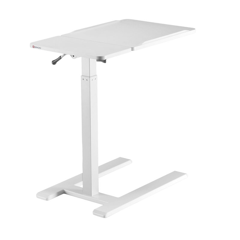 D01 Standing Desk with 4 Memory Ergonomic Height Adjustments, White