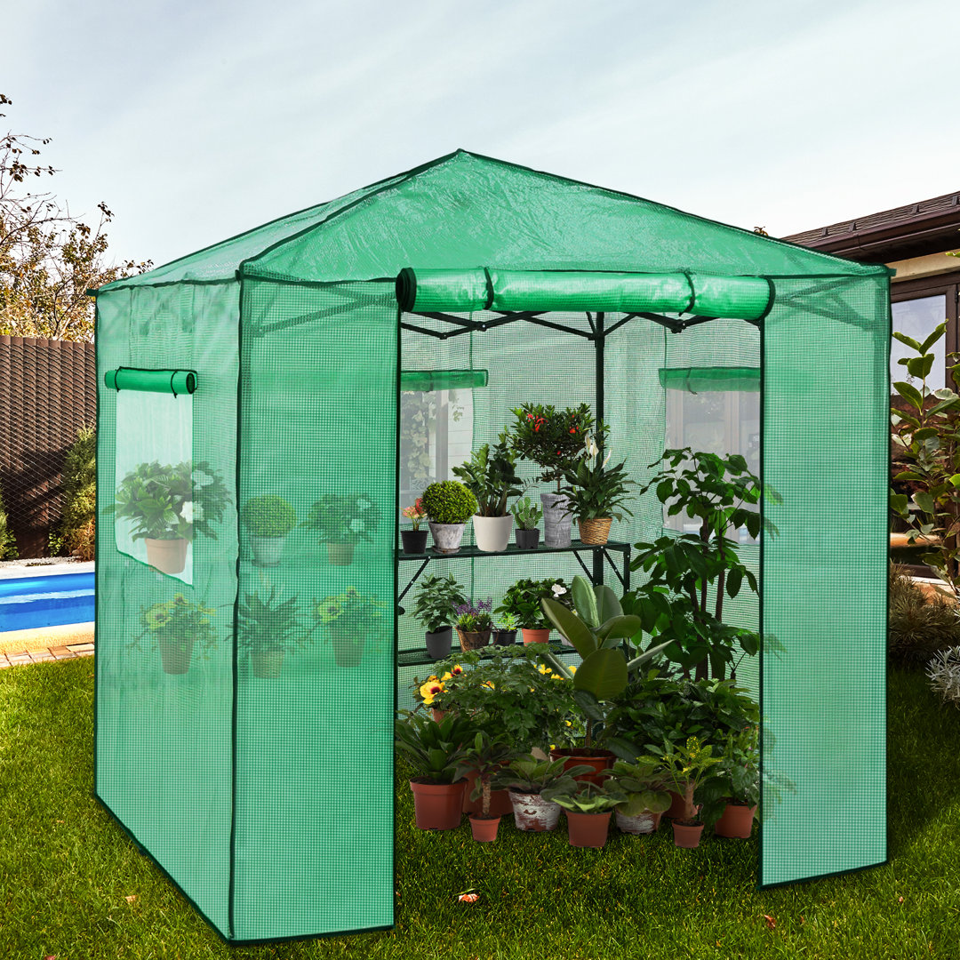 Pop Up Greenhouses 7 ft W x 7 ft D Greenhouse EAGLE PEAK