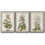 Munting Botanicals I 3 pièces-97709176-97709178