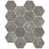 Fossile
