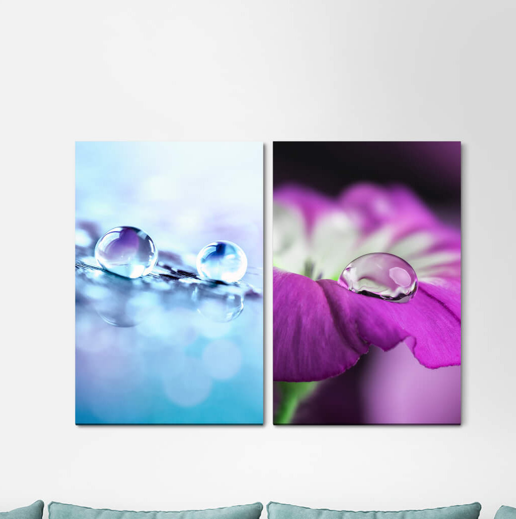 2-tlg. Leinwandbilder-Set - Fotografie „Orchid Blossoms Water Drops Flower Purple”