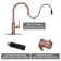 Pull Down Kitchen Faucet with Single Handle and Deck Plate