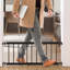 Porte pour chien 10 po-133226269