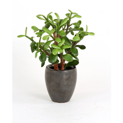 13'' Faux Herbs Plant in Ceramic Planter
