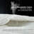 All Season Polyester Down Alternative Comforter-913582249