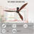 65'' Ceiling Fan-798625996-798625999