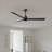 Alessandra 56'' Ceiling Fan-1813772026-1813771990
