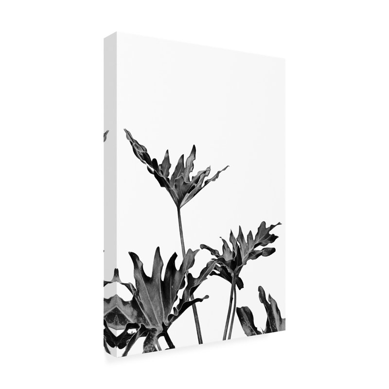 Œuvre d'art sur toile noire Amini54 Monstera noir et blanc 08, H 30 po x l 47 po