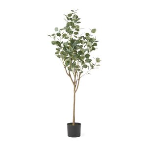 Aanya Faux Eucalyptus Tree in Pot & Reviews | Joss & Main