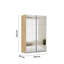Caracas 3 Door Sliding Wardrobe-1283860263-1283860270-1300696541