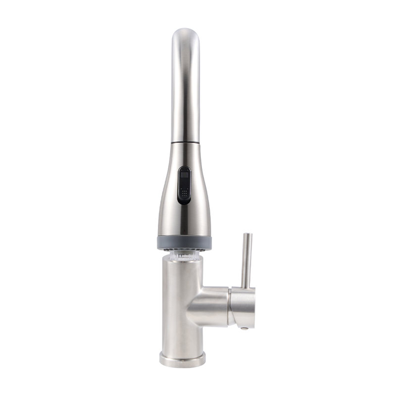 Belfry Kitchen Pull Out Kitchen Faucet, Silver