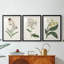 Antique Botanical Collection VII - reproduction sur mesure encadrée de qualité supérieure - 3 pièces-1991691633-1991691632