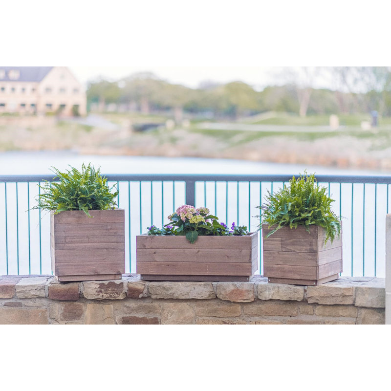 Azha Wood Planter Box, 11.6" H x 30" W x 12" D