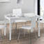 Darielle Dining Table-16589508