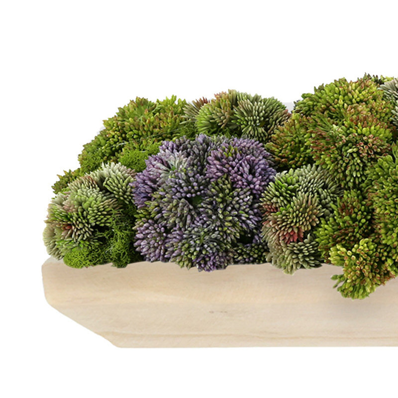 Assorted Sedum and Moss Arranged in Wood Planter, Violet/Green