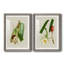 Impression encadrée Elegant Tropicals IPremium - prête à être accrochée-84878315-84878290-84713513