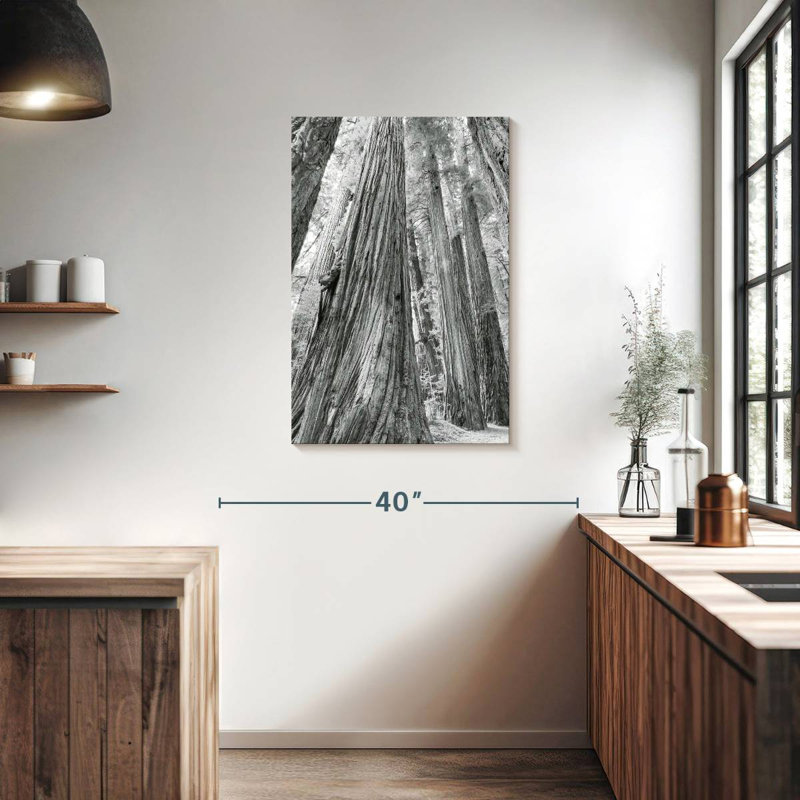 Harnek Redwoods Forest BW, 36" H x 24" W