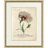 Painted Lady Carnation Painting