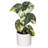 11.5'' Faux Plant in Pot-94734881
