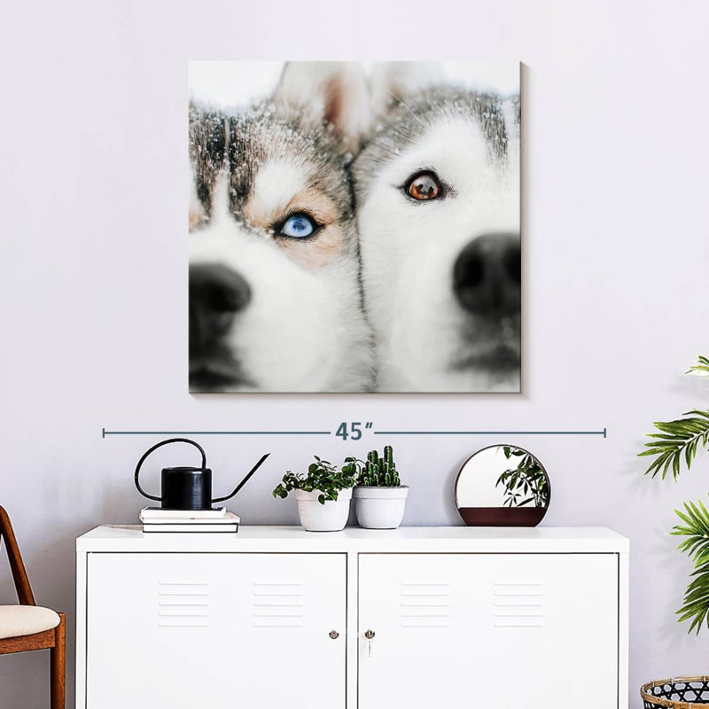 Crowle Husky Faces, 30" H x 30" W