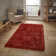Hetzel area rug Hand Tufted Rectangle Terracotta