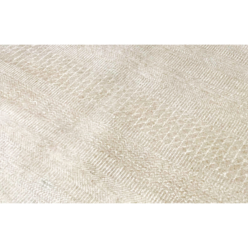Area Rug in Beige