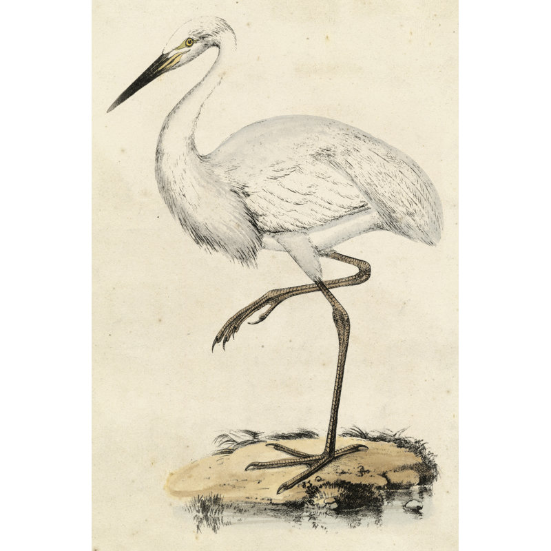 «Antique Heron III», peinture sur toile, H 30 po x l 20 po