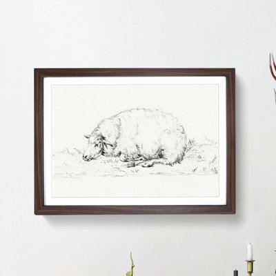 Resting Sheep by Jean Bernard - Picture Frame Drawing Print
