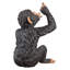 Statue de singe Anisetta