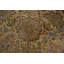 Tapis vert à teinture végétale 11 x 21