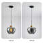 1 - Light Single Globe Pendant