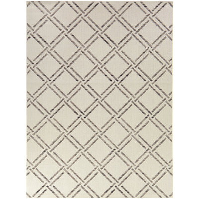 Indoor / Outdoor Rug