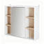 W H Medicine Cabinet Mirror
