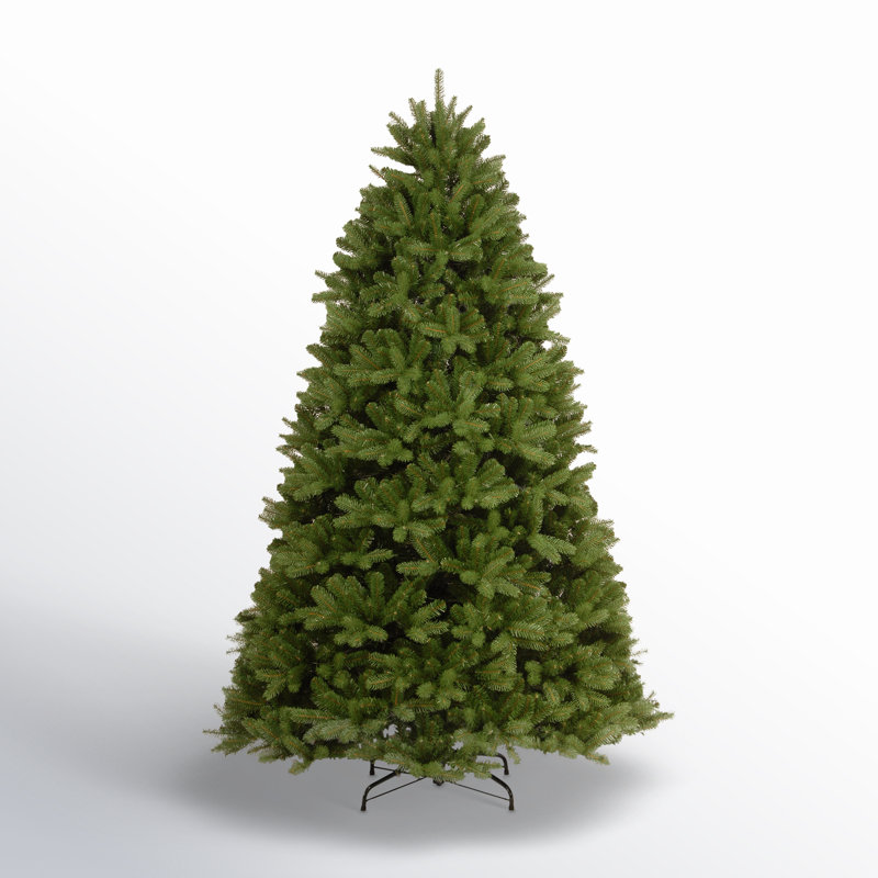 Newberry Spruce Tree, 7.5' H