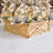 St Ives Solid Wood Tree Collar-1497174453-1597080345