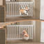 Barrière en métal pour animaux avec pression