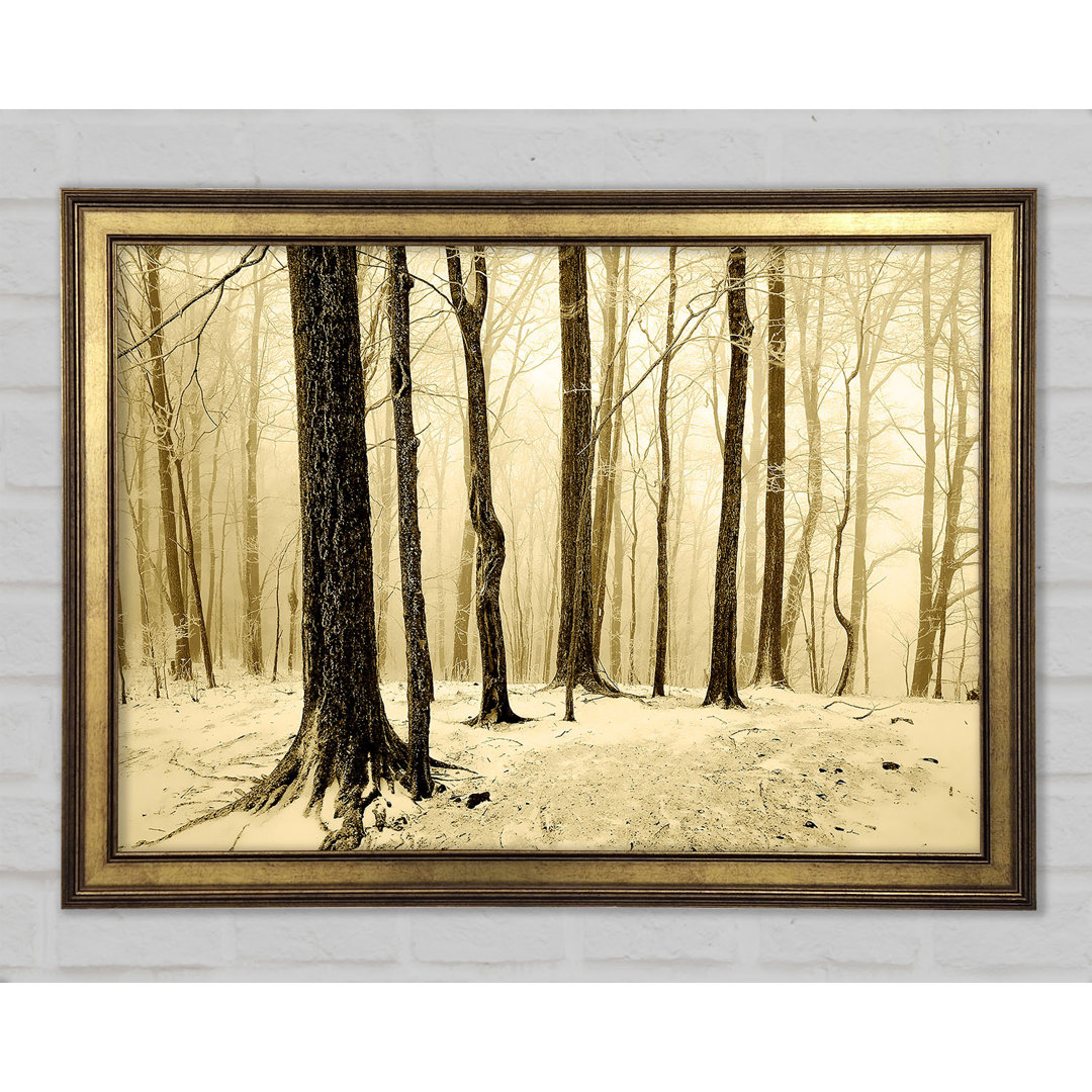 Winter Woodland Snow - Druck