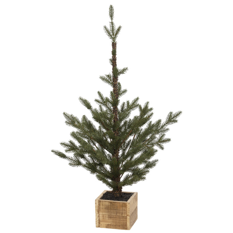 Pinetree In Box, Small - 36 Inches