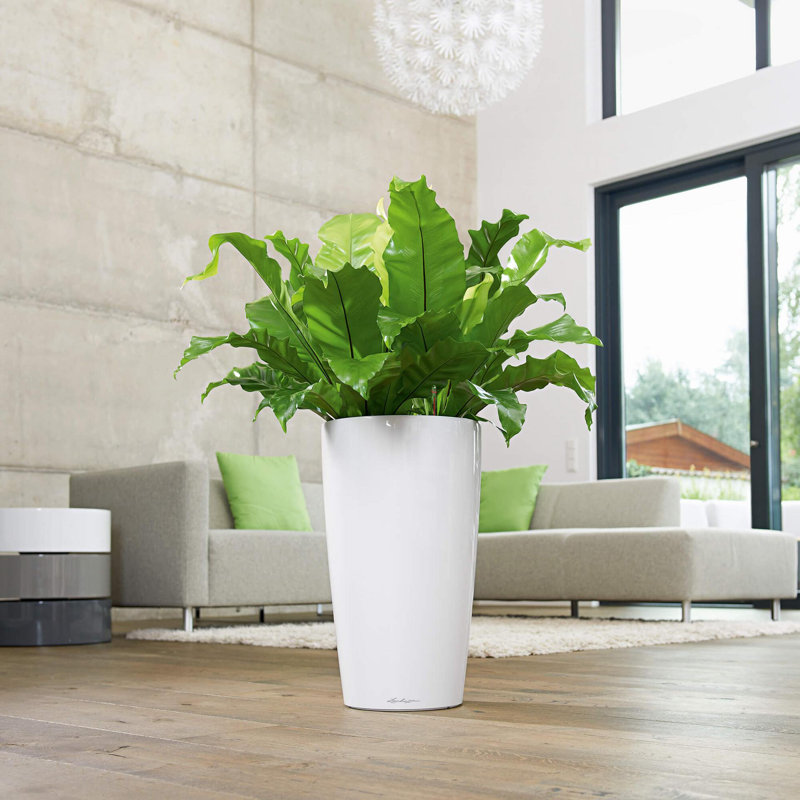 Rondo Pot Planter, 75 cm H x 40 cm W x 40 cm D, White