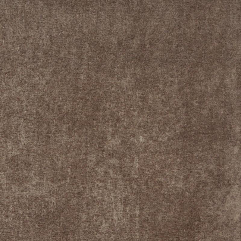 Velours à poils courts, Taupe