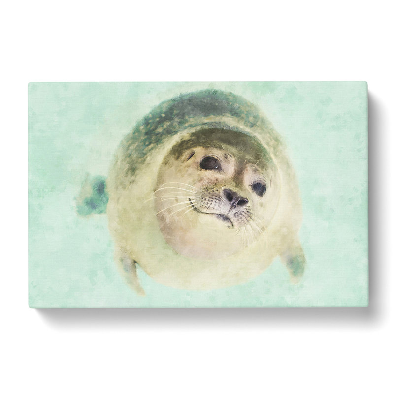 Seal - Wrapped Canvas, 40cm H x 60cm W x 3cm D