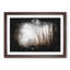 Woodland Road - Framed Print-56842460-56842458