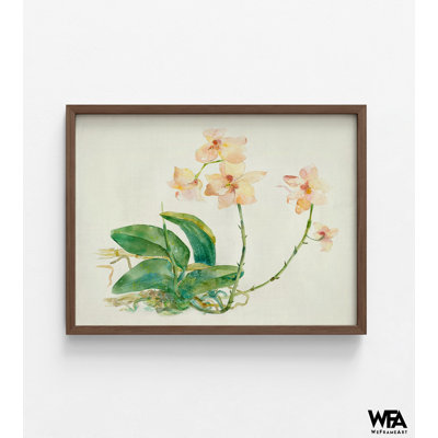 Orchidée rose par Maya Woods, idée de cadeau d'amant d'orchidée, cadeau de belle-mère douce, idée de cadeau d'anniversaire de grand-mère, affiche de cadeau de belle tante
