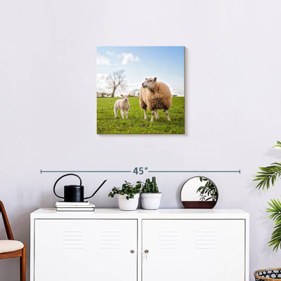 Crowle Sheep And Lamb