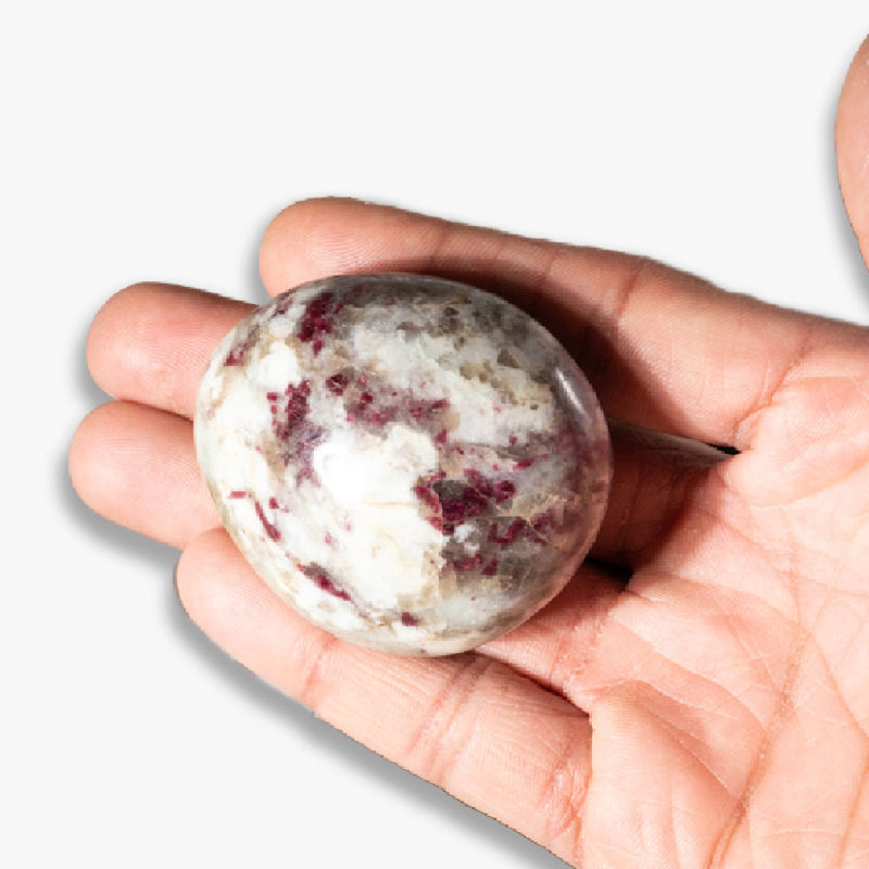 Véritable rubis poli dans la pierre de palmier quartz
