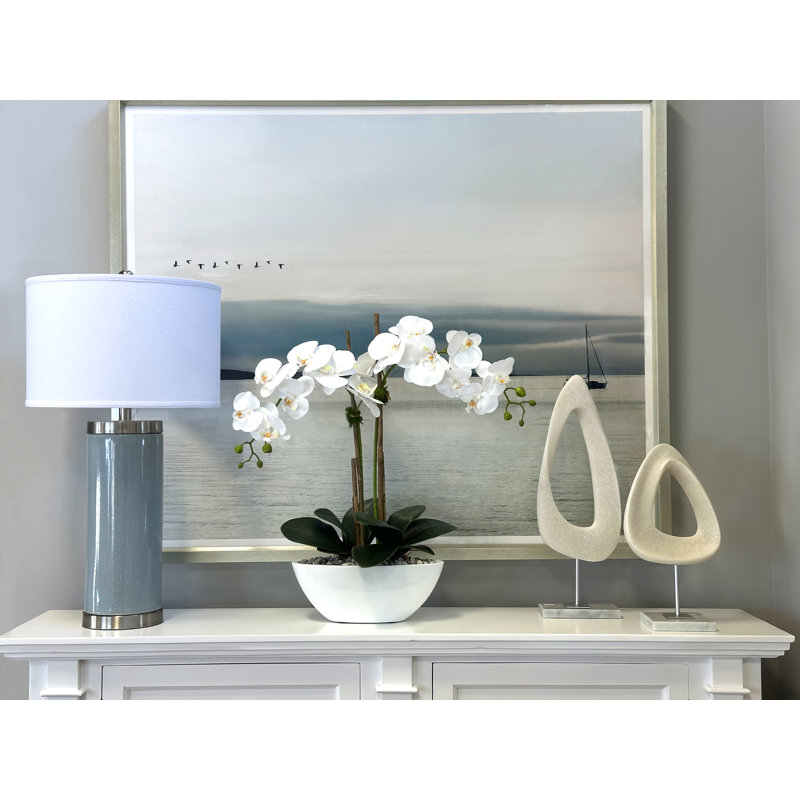White Orchids In A Ceramic Pot With Rocks And Moss