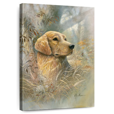 Dog Golden Beauty