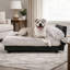 Lit orthopédique pour animaux Mid-Century-1932509633-1953814894