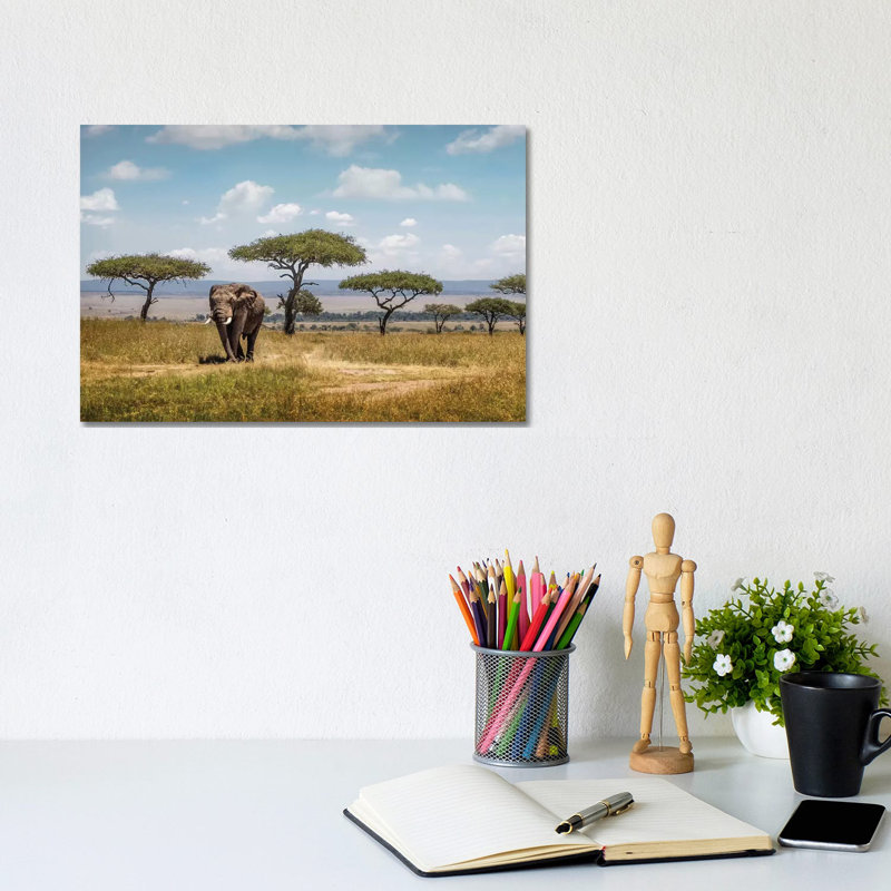 African Elephant Bull Walking Through Acacia Tree Field II by Susan Schmitz - Wrapped Canvas Gallery-Wrapped Canvas Giclée